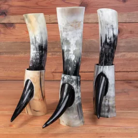 Polished Drinking Horn   Horn Stand